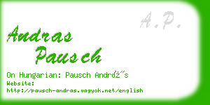 andras pausch business card